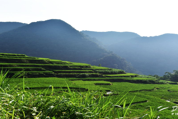 3D 2N Pu Luong Featured Tour: Serenity and Discovery Amidst Nature - photo 7